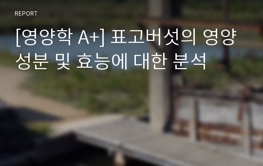 [영양학 A+] 표고버섯의 영양성분 및 효능에 대한 분석