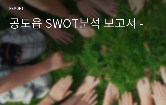 공도읍 SWOT분석 보고서 -