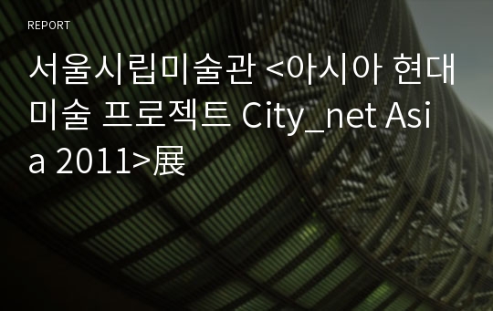 서울시립미술관 &lt;아시아 현대미술 프로젝트 City_net Asia 2011&gt;展