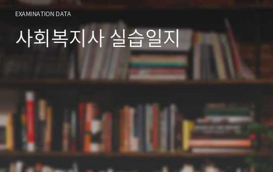 사회복지사 실습일지