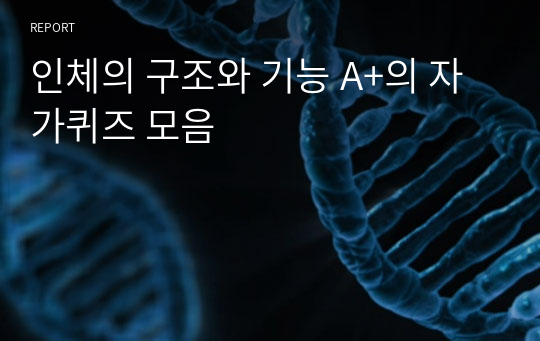 인체의 구조와 기능 A+의 자가퀴즈 모음