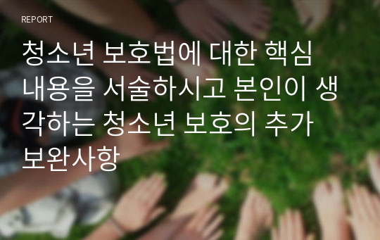 청소년 보호법에 대한 핵심 내용을 서술하시고 본인이 생각하는 청소년 보호의 추가 보완사항