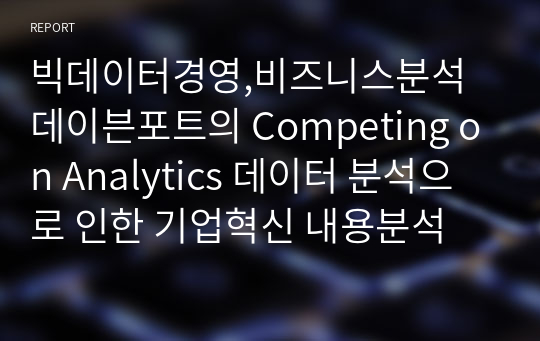 빅데이터경영,비즈니스분석 데이븐포트의 Competing on Analytics 데이터 분석으로 인한 기업혁신 내용분석