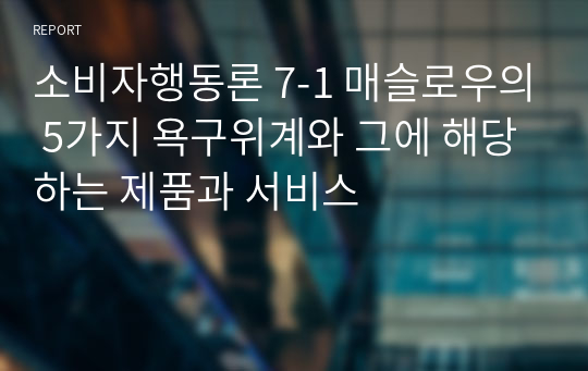 소비자행동론 7-1 매슬로우의 5가지 욕구위계와 그에 해당하는 제품과 서비스