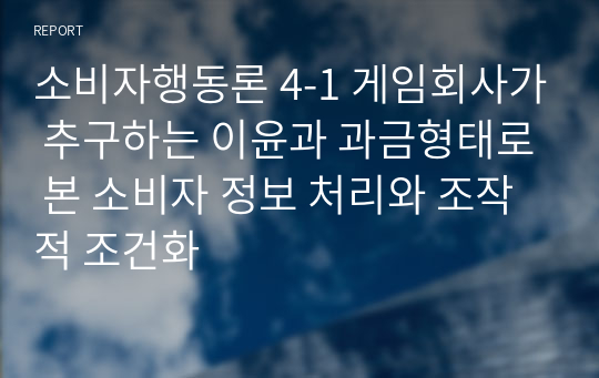 소비자행동론 4-1 게임회사가 추구하는 이윤과 과금형태로 본 소비자 정보 처리와 조작적 조건화