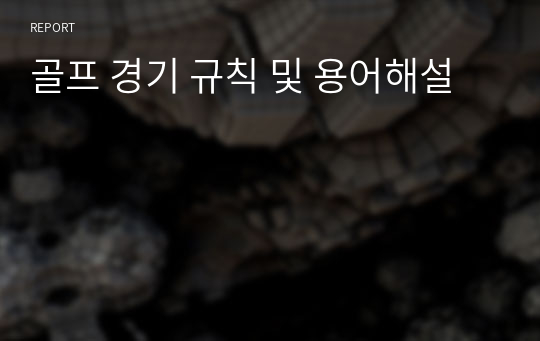 골프 경기 규칙 및 용어해설