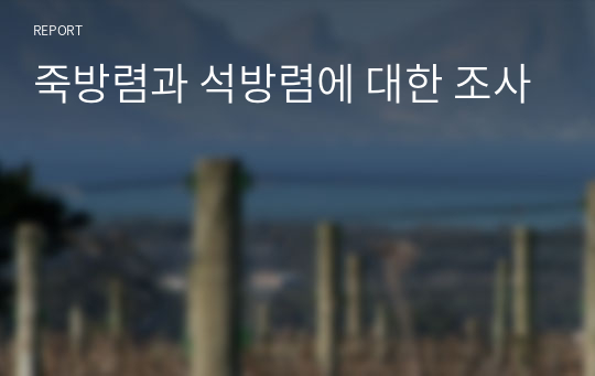 죽방렴과 석방렴에 대한 조사