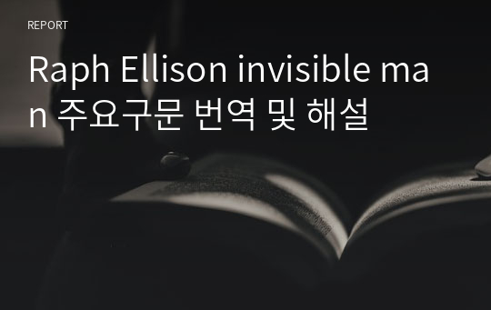 Raph Ellison invisible man 주요구문 번역 및 해설