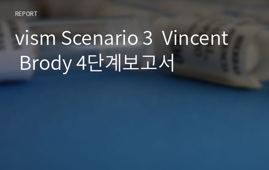 vism Scenario 3  Vincent Brody 4단계보고서