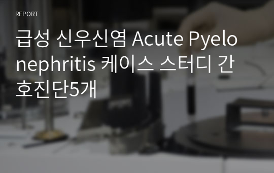 급성 신우신염 Acute Pyelonephritis 케이스 스터디 간호진단5개