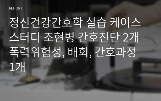 정신건강간호학 실습 케이스스터디 조현병 간호진단 2개 폭력위험성, 배회, 간호과정 1개