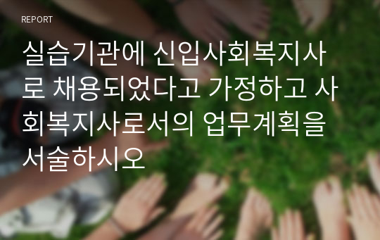 실습기관에 신입사회복지사로 채용되었다고 가정하고 사회복지사로서의 업무계획을 서술하시오