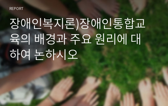 장애인복지론)장애인통합교육의 배경과 주요 원리에 대하여 논하시오