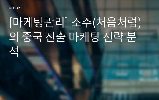 [마케팅관리] 소주(처음처럼)의 중국 진출 마케팅 전략 분석