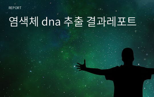 염색체 dna 추출 결과레포트