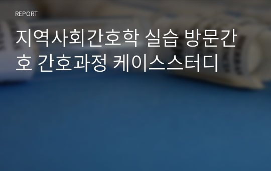 지역사회간호학 실습 방문간호 간호과정 케이스스터디