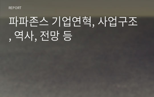 파파존스 기업연혁, 사업구조, 역사, 전망 등