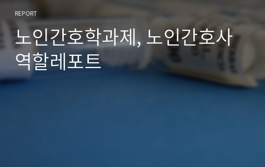 노인간호학과제, 노인간호사역할레포트