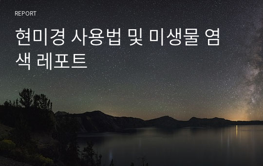 현미경 사용법 및 미생물 염색 레포트