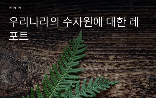 우리나라의 수자원에 대한 레포트