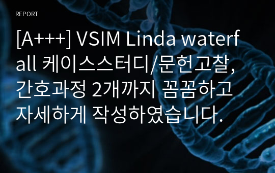 [A+++] VSIM Linda waterfall 케이스스터디/문헌고찰, 간호과정 2개까지 꼼꼼하고 자세하게 작성하였습니다.