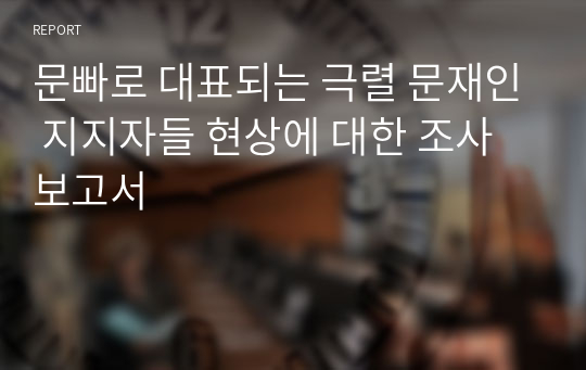 문빠로 대표되는 극렬 문재인 지지자들 현상에 대한 조사 보고서