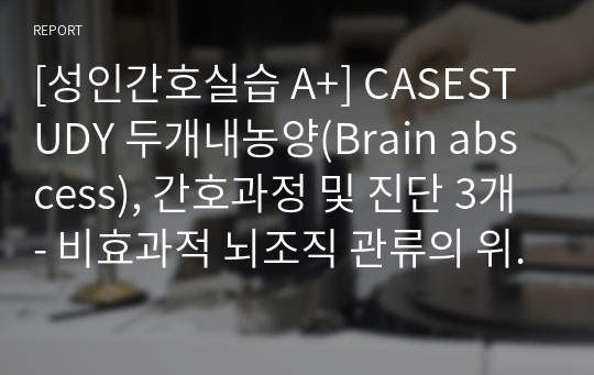 [성인간호실습 A+] CASESTUDY 두개내농양(Brain abscess), 간호과정 및 진단 3개- 비효과적 뇌조직 관류의 위험, 비효과적 기도청결, 감염위험성