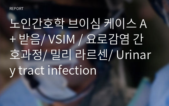 노인간호학 브이심 케이스 A+ 받음/ VSIM / 요로감염 간호과정/ 밀리 라르센/ Urinary tract infection