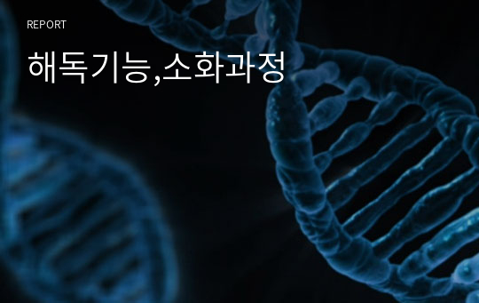 해독기능,소화과정