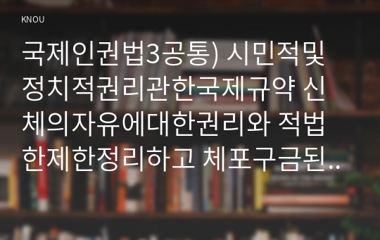 국제인권법3공통) 시민적및정치적권리관한국제규약 신체의자유에대한권리와 적법한제한정리하고 체포구금된 피의자 피고인갖는 권리를 설명하시오0k