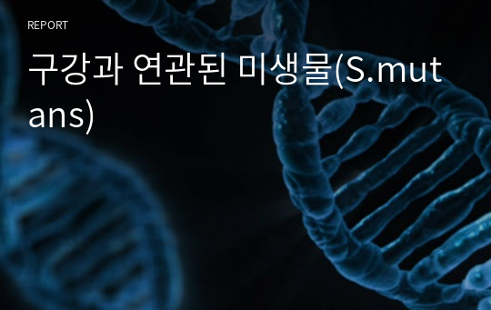 구강과 연관된 미생물(S.mutans)