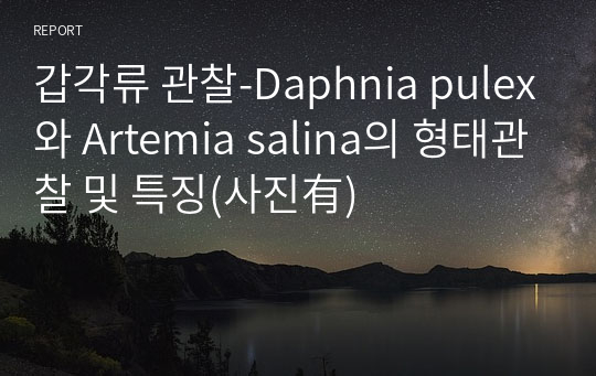 갑각류 관찰-Daphnia pulex와 Artemia salina의 형태관찰 및 특징(사진有)
