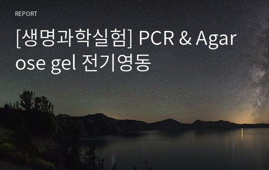 [생명과학실험] PCR &amp; Agarose gel 전기영동