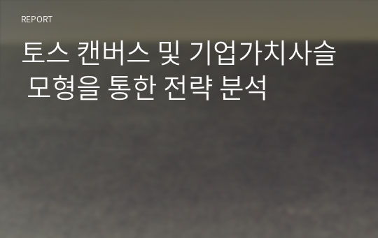 토스 캔버스 및 기업가치사슬 모형을 통한 전략 분석