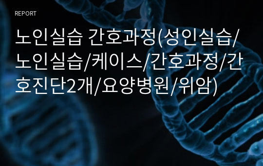 노인실습 간호과정(성인실습/노인실습/케이스/간호과정/간호진단2개/요양병원/위암)