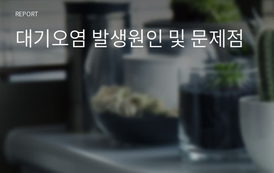 대기오염 발생원인 및 문제점