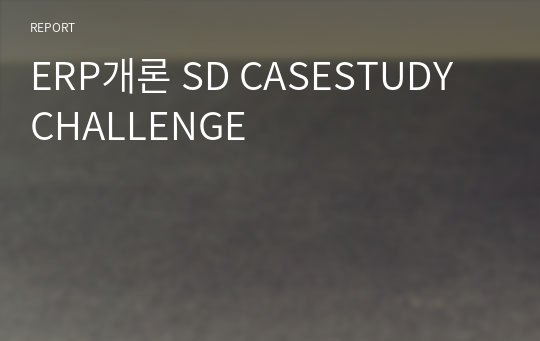 ERP개론 SD CASESTUDY CHALLENGE