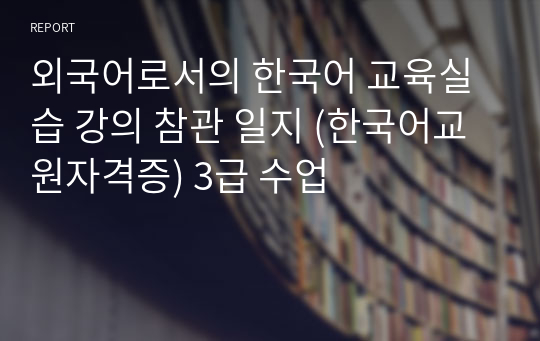 외국어로서의 한국어 교육실습 강의 참관 일지 (한국어교원자격증) 3급 수업