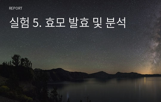 실험 5. 효모 발효 및 분석