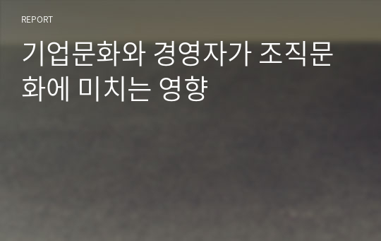 기업문화와 경영자가 조직문화에 미치는 영향