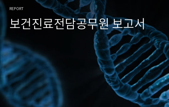 보건진료전담공무원 보고서