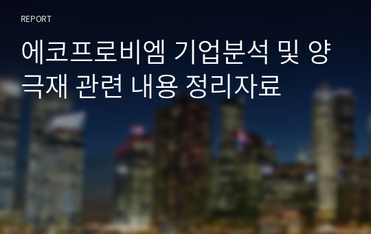 에코프로비엠 기업분석 및 양극재 관련 내용 정리자료