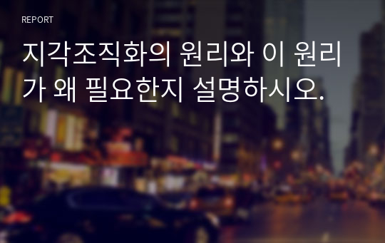 지각조직화의 원리와 이 원리가 왜 필요한지 설명하시오.