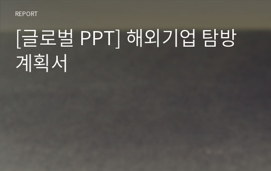 [글로벌 PPT] 해외기업 탐방 계획서