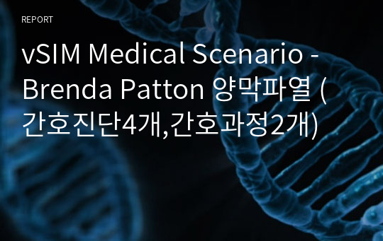 vSIM Medical Scenario - Brenda Patton 양막파열 (간호진단4개,간호과정2개)