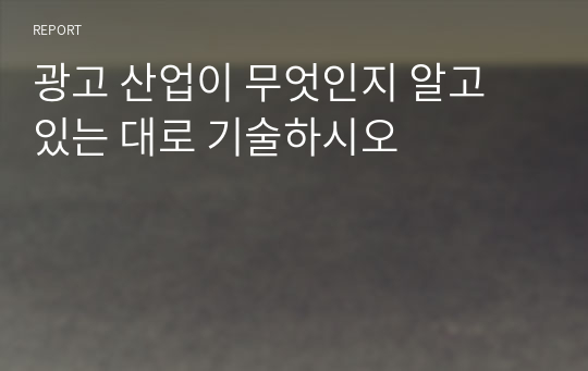 광고 산업이 무엇인지 알고 있는 대로 기술하시오