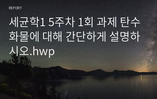 세균학1 5주차 1회 과제 탄수화물에 대해 간단하게 설명하시오.hwp