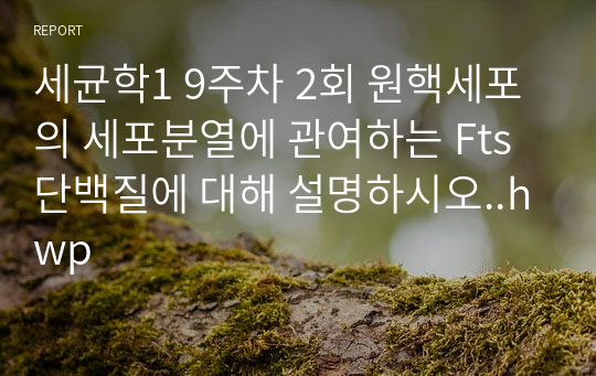 세균학1 9주차 2회 원핵세포의 세포분열에 관여하는 Fts단백질에 대해 설명하시오..hwp