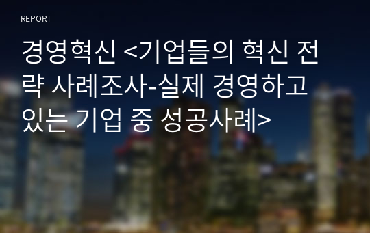 경영혁신 &lt;기업들의 혁신 전략 사례조사-실제 경영하고 있는 기업 중 성공사례&gt;