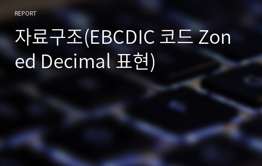 자료구조(EBCDIC 코드 Zoned Decimal 표현)